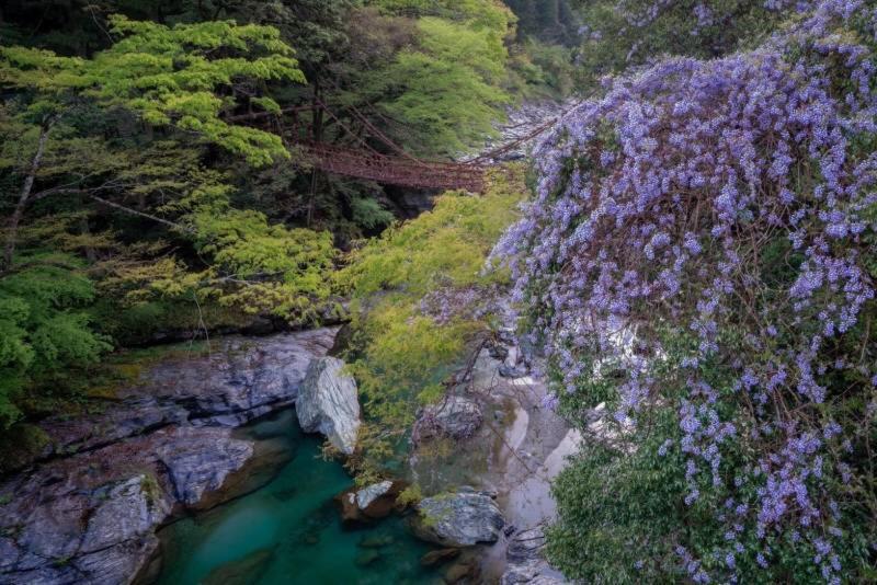 四国旅行のhub拠点 古民家ゲストハウス Heso Camp Миёси Экстерьер фото
